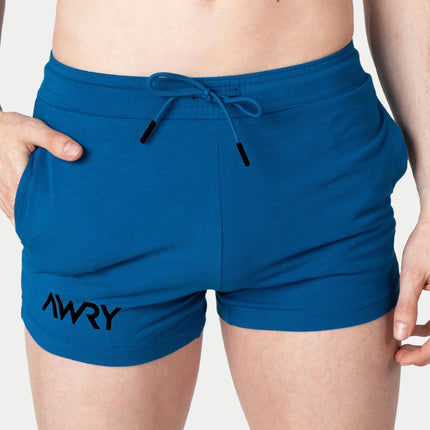 AWRY Vers 4-Inch Shorts - Cerulean