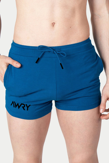 AWRY Vers 4-Inch Shorts - Cerulean