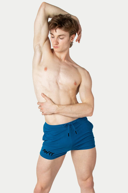AWRY Vers 4-Inch Shorts - Cerulean