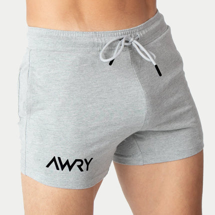 AWRY Vers 4-Inch Shorts - Light Heather Grey
