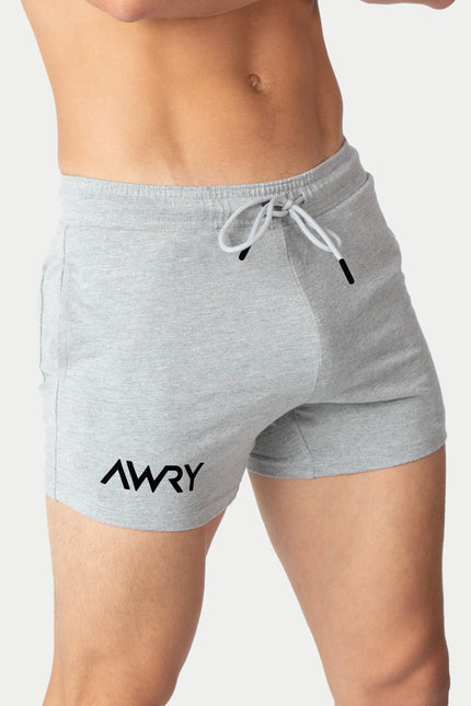 AWRY Vers 4-Inch Shorts - Light Heather Grey