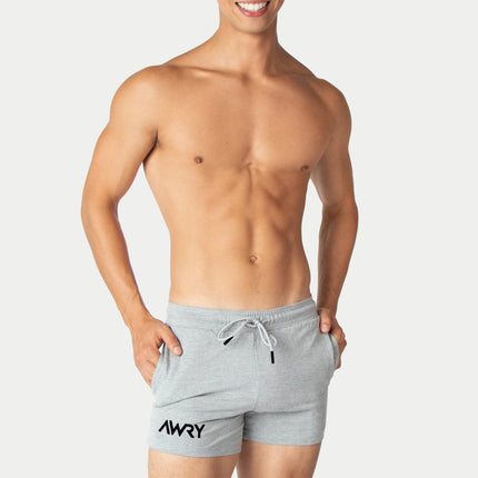 AWRY Vers 4-Inch Shorts - Light Heather Grey