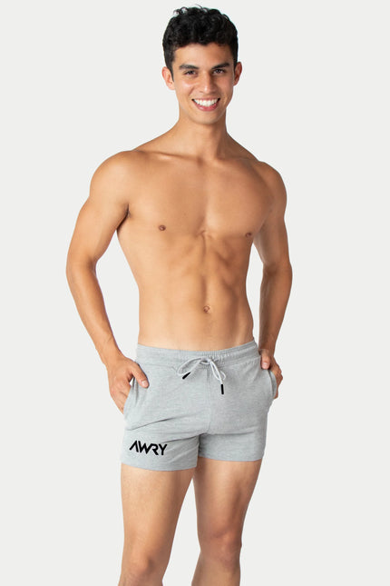 AWRY Vers 4-Inch Shorts - Light Heather Grey
