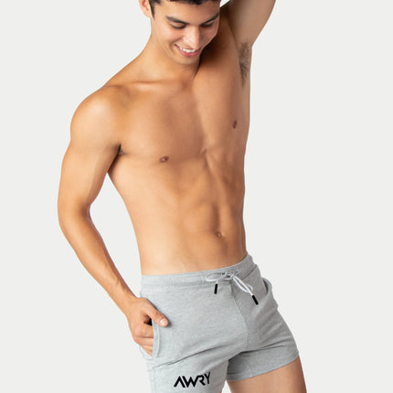 AWRY Vers 4-Inch Shorts - Light Heather Grey