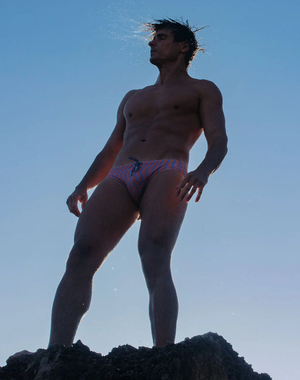 2eros V10 Dolce swim brief purple