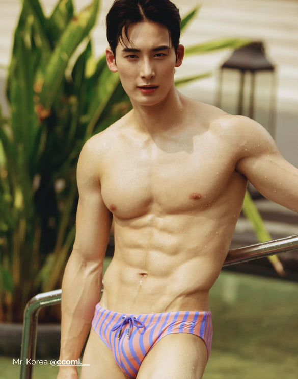 2eros V10 Dolce swim brief purple