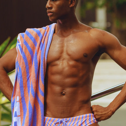 2eros V10 Dolce swim brief purple