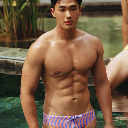 2eros V10 Dolce swim brief purple