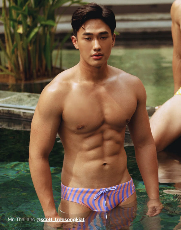 2eros V10 Dolce swim brief purple