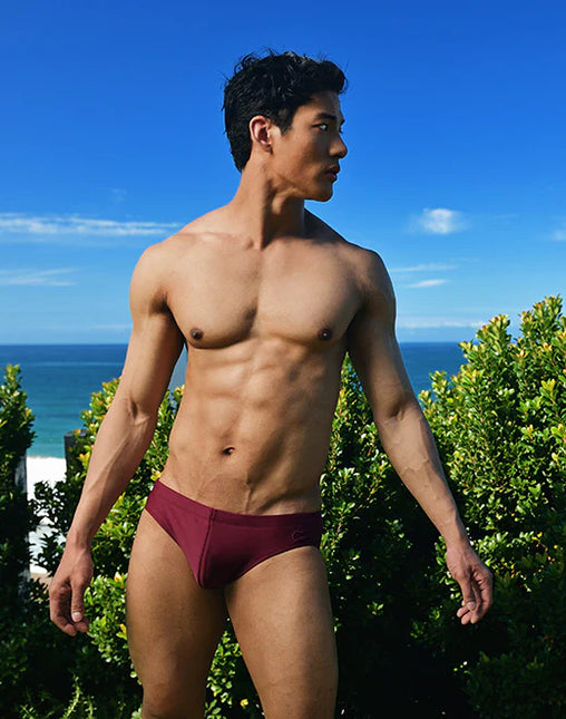 2eros V10 Core Swim Brief - Tawny Port