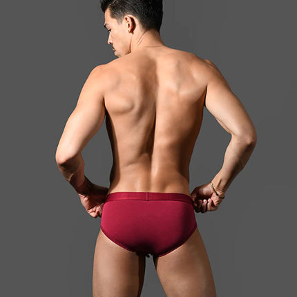 Andrew Christian Bespoke 93521 modal brief burgundy