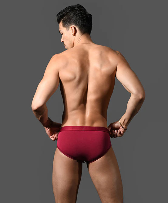 Andrew Christian Bespoke 93521 modal brief burgundy
