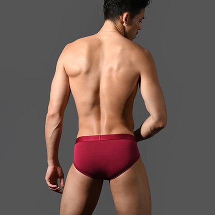 Andrew Christian Bespoke 93521 modal brief burgundy