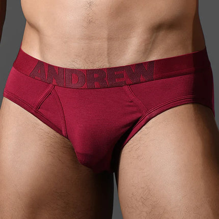 Andrew Christian Bespoke 93521 modal brief burgundy
