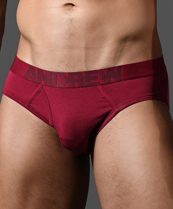Andrew Christian Bespoke 93521 modal brief burgundy