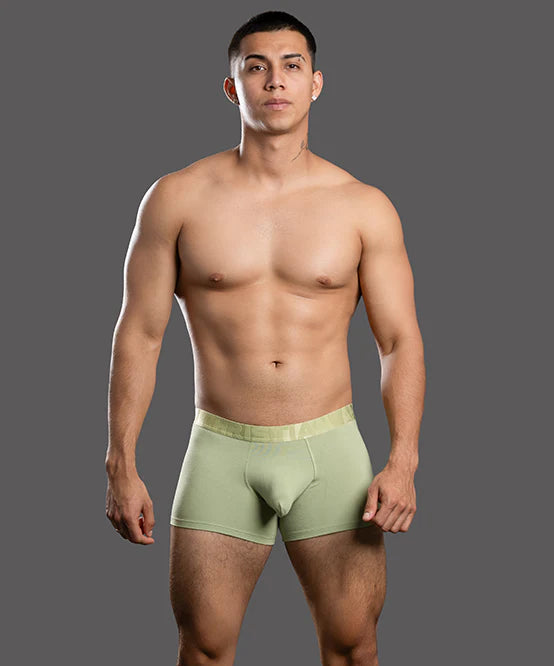 Andrew Christian Almost Naked 93714 bamboo boxer pistachio