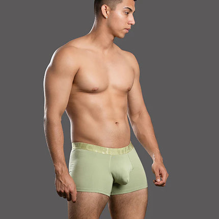 Andrew Christian Almost Naked 93714 bamboo boxer pistachio