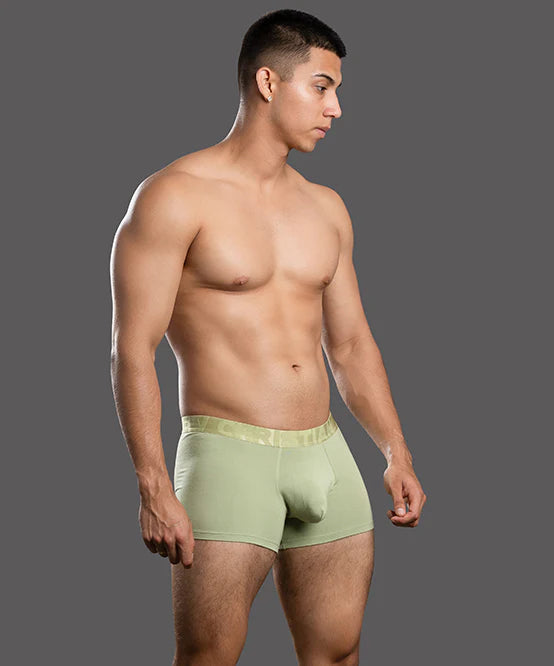Andrew Christian Almost Naked 93714 bamboo boxer pistachio