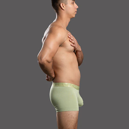 Andrew Christian Almost Naked 93714 bamboo boxer pistachio