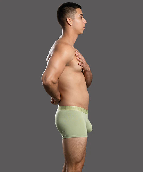 Andrew Christian Almost Naked 93714 bamboo boxer pistachio