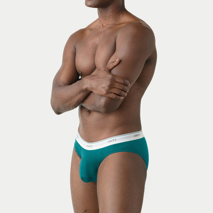 AWRY Throwback Brief - Teal