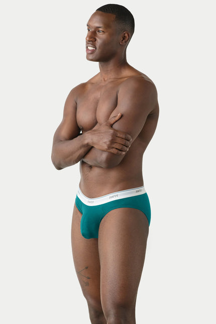 AWRY Throwback Brief - Teal