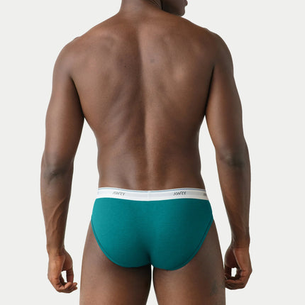 AWRY Throwback Brief - Teal