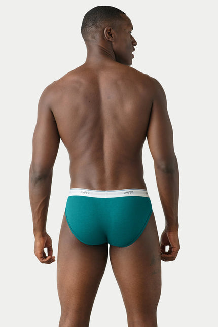 AWRY Throwback Brief - Teal