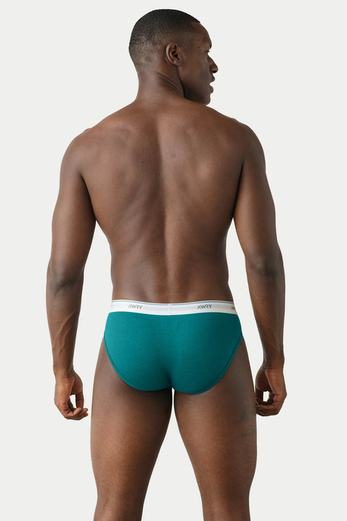 AWRY Throwback Brief - Teal