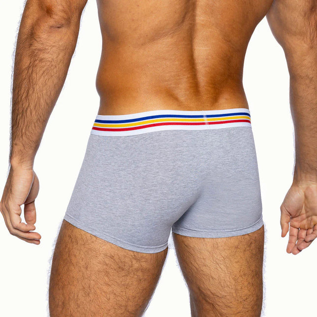 Bike Athletic cotton boxer trunk grey