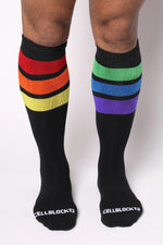 Cellblock 13 Pride socks black