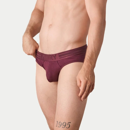 AWRY Axis Brief - Merlot