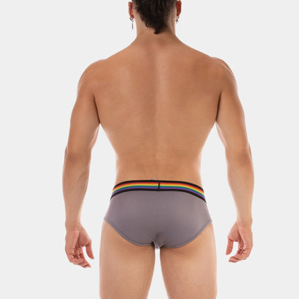 Barcode Berlin Pride mesh brief grey