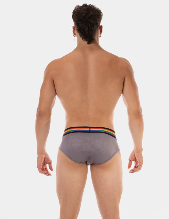 Barcode Berlin Pride mesh brief grey