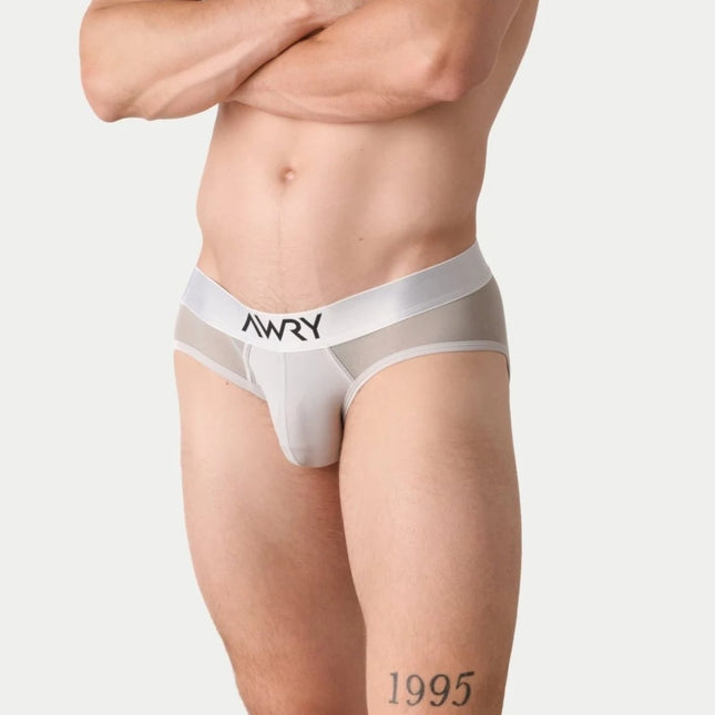 AWRY Reveal Mesh Brief - Silver