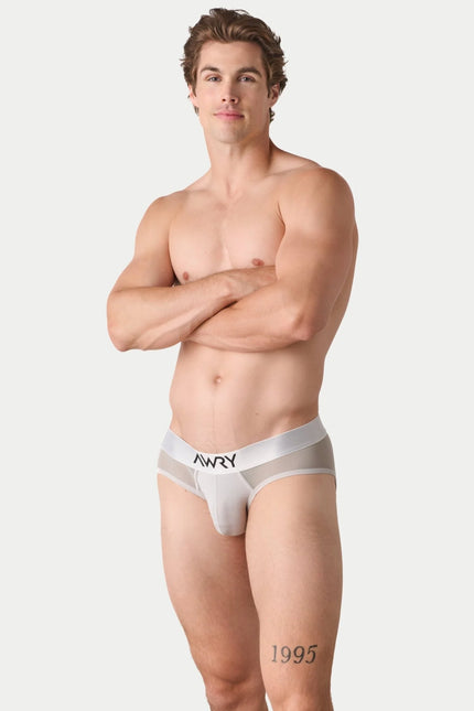 AWRY Reveal Mesh Brief - Silver