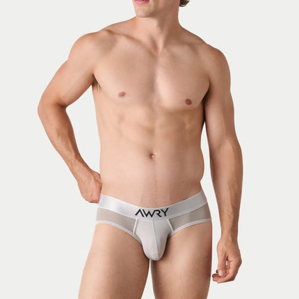 AWRY Reveal Mesh Brief - Silver