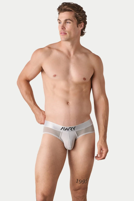 AWRY Reveal Mesh Brief - Silver
