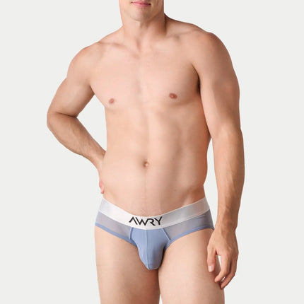 AWRY Reveal Mesh Brief - Steel Blue