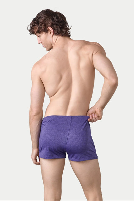 AWRY Static 2-Inch Shorts - Purple
