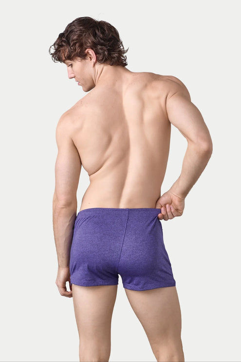 AWRY Static 2-Inch Shorts - Purple