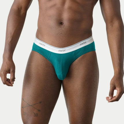 AWRY Throwback Brief - Teal