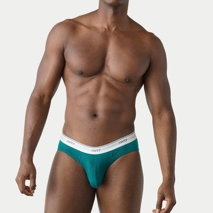 AWRY Throwback Brief - Teal