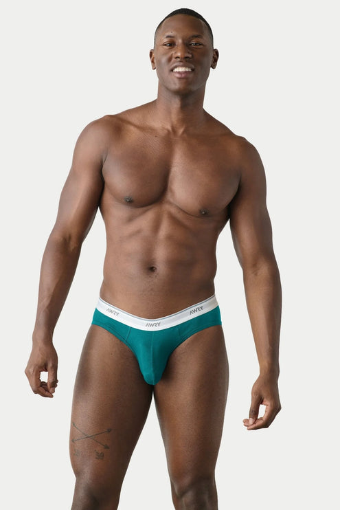 AWRY Throwback Brief - Teal