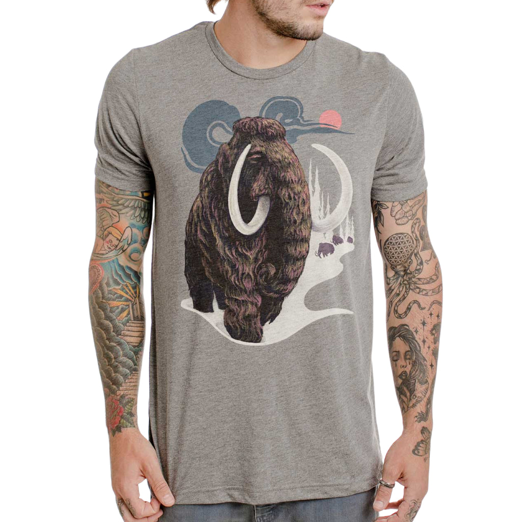 Curbside Mammoth slim fit t-shirt tri-blend heather grey